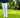 GOLF PANTS - WHITE