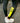 JOGGER PANTS 2nd - BLACK